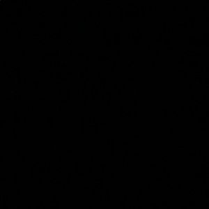 Meet your Posher, Elisa